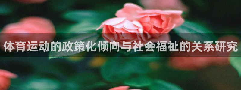 下载熊猫体育：体育运动的政策化倾向与社会福祉的关系研究