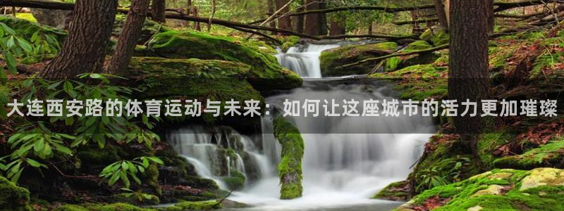熊猫体育公园：大连西安路的体育运动与未来：如何让这座城市的活力更加璀璨