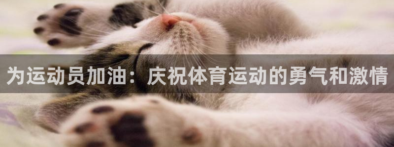 中山熊猫体育：为运动员加油：庆祝体育运动的勇气和激情