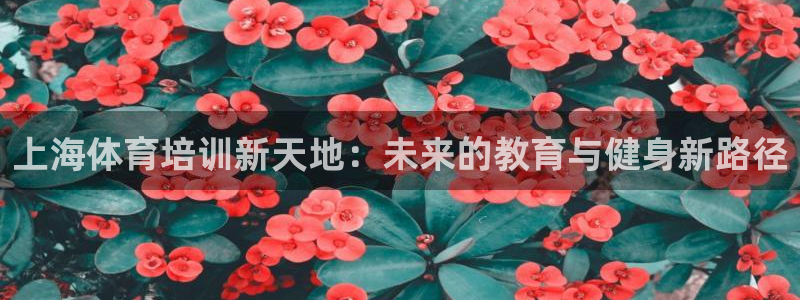 下载熊猫体育：上海体育培训新天地：未来的教育与健身新路径