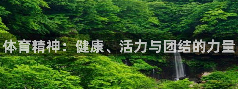 熊猫体育app下载安装：体育精神：健康、活力与团结的力量