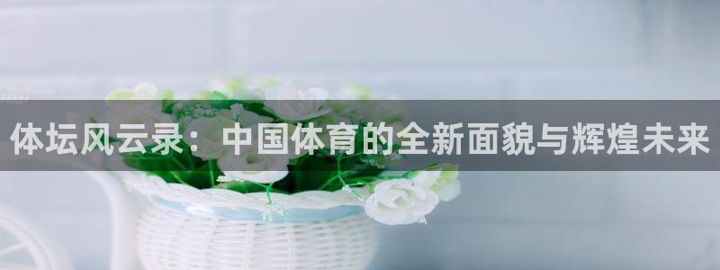熊猫体育nba：体坛风云录：中国体育的全新面貌与辉煌未来