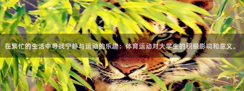 熊猫体育官网首页入口：在繁忙的生活中寻找宁静与运动的乐趣：体育运动对大学生的积极影响和意义。