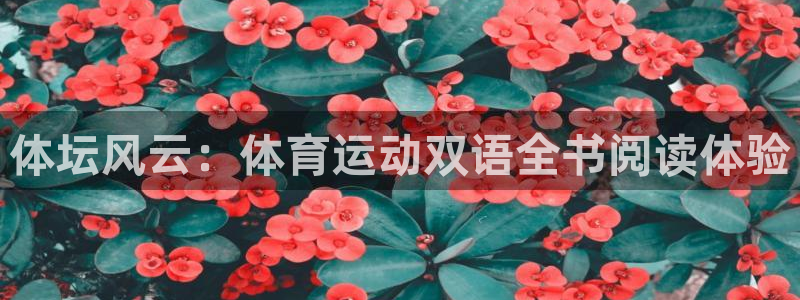 熊猫体育sports：体坛风云：体育运动双语全书阅读体验