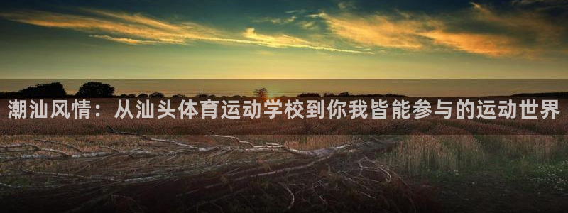 熊猫体育免费下载：潮汕风情：从汕头体育运动学校到你我皆能参与的运动世界