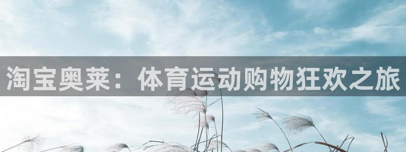 熊猫体育免费下载：淘宝奥莱：体育运动购物狂欢之旅