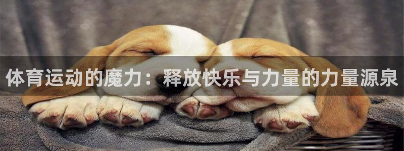 熊猫体育在线：体育运动的魔力：释放快乐与力量的力量源泉