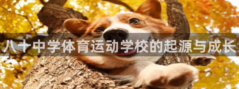 熊猫体育app官网入口：八十中学体育运动学校的起源与成长