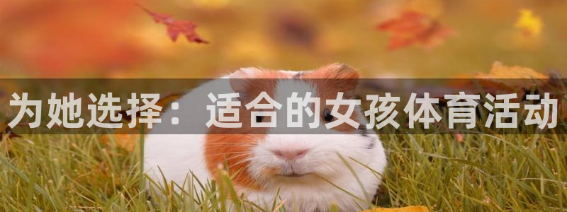 熊猫体育手机版：为她选择：适合的女孩体育活动