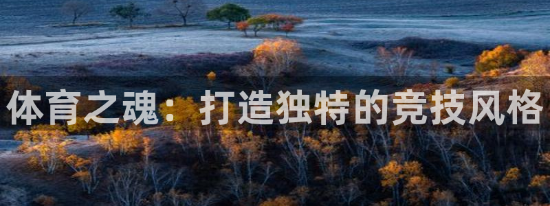 熊猫体育平台官网：体育之魂：打造独特的竞技风格