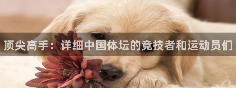 熊猫体育在线：顶尖高手：详细中国体坛的竞技者和运动员们