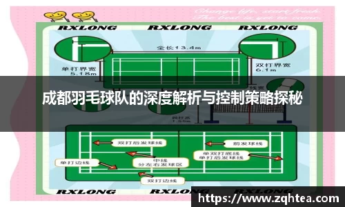 成都羽毛球队的深度解析与控制策略探秘